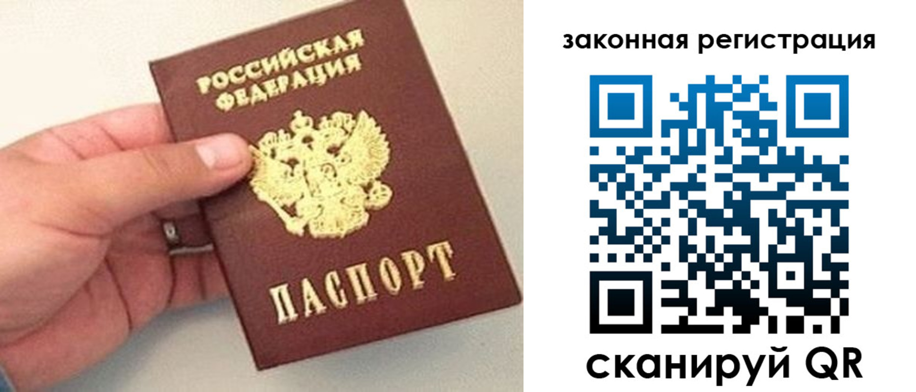 прописка для школы в Луге